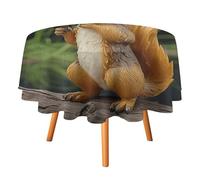 Rkklvbns Resin Squirrel Tablecloth for Wedding, Washable Table Cloth for Restaurant, Round Polyester Table Cover 36x36in for Party, Waterproof Tablecloth for Banquet, Holiday Decor