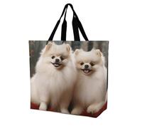 Rkklvbns Short-haired Pomeranian Dog Women Tote Bag Shoulder Grocerie Bags Portable Storage Handbag Lightweight Durable for Work Travel Casual Bag