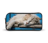 Rkklvbns Sleeping Little Cat Large Pencil Case Portable Pencil Bag with Zipper Stationery Organizer Simple Storage Aesthetic Stationery for Office College Adult Use