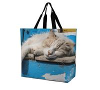 Rkklvbns Sleeping Little Cat Women Tote Bag Shoulder Grocerie Bags Portable Storage Handbag Lightweight Durable for Work Travel Casual Bag