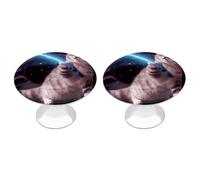 Rkklvbns Space Laser Cat Novelty Cute Funny Cabinet Handles 2 Pack Modern Dresser Drawer Knobs with 1.1 Inch Center Hole Solid Round Wardrobe Pulls for Kitchen Cabinets Bedroom