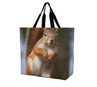 Rkklvbns Squirrel Funny Animal Women Tote Bag Shoulder Grocerie Bags Portable Storage Handbag Lightweight Durable for Work Travel Casual Bag