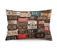 Rkklvbns Super Soft Pillow Case Cover with Zipper, Furry Fuzzy Rectangular Cushion Case 12 "x20 for Bedroom, Old License Plate Body Pillow Cover for Couch, Living Room, All Seasons