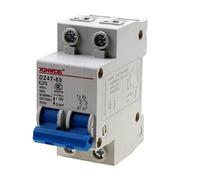 RKURCK 2 Pole 400V Low-voltage Miniature Circuit Breaker 25A Din Rail Mount DZ47-63 C25
