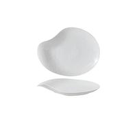 RKVXCJHDR Plates for Kitchen 10-inch White Ceramic Tableware Hotel Restaurant Artistic Conception Sashimi Plate Fusion Dish Display Special-Shaped Shallow Bowl Cold Plate for Eating(10 in)