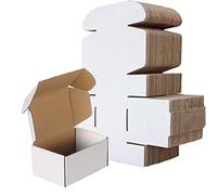RLAVBL 50 Pack 153x102x76 mm (6x4x3 in) Shipping Boxes Small White Corrugated Cardboard Box for Packing Mailing