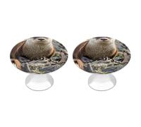 RLDOBOFE 2 Pack Animal Cute Brown Otters Cabinet Knob Stainless Steel Drawer Pull with Screws Round Cabinet Handle 1.1 Inch Hardware Decorative Knobs for Kitchen Furniture Cupboard