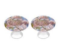 RLDOBOFE 2 Pack Cherry Blossom Cabinet Knob Stainless Steel Drawer Pull with Screws Round Cabinet Handle 1.1 Inch Hardware Decorative Knobs for Kitchen Furniture Cupboard