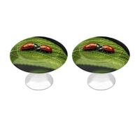 RLDOBOFE 2 Pack Deer Hunting Season Cabinet Knob Stainless Steel Drawer Pull with Screws Round Cabinet Handle 1.1 Inch Hardware Decorative Knobs for Kitchen Furniture Cupboard
