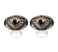 RLDOBOFE 2 Pack Hungry Like A Wolf Cabinet Knob Stainless Steel Drawer Pull with Screws Round Cabinet Handle 1.1 Inch Hardware Decorative Knobs for Kitchen Furniture Cupboard
