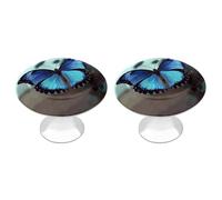 RLDOBOFE 2 Pack Round Blue Butterfly Cabinet Knobs with Screws Stainless Steel Kitchen Cupboard Handles Decorative Dresser Drawer Knob Door Pulls Hardware for Home Bathroom