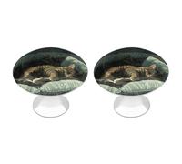 RLDOBOFE 2 Pack Round Cat on The Sofa Cabinet Knobs with Screws Stainless Steel Kitchen Cupboard Handles Decorative Dresser Drawer Knob Door Pulls Hardware for Home Bathroom