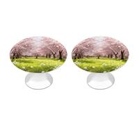 RLDOBOFE 2 Pack Round Cherry Blossom Meadow Cabinet Knobs with Screws Stainless Steel Kitchen Cupboard Handles Decorative Dresser Drawer Knob Door Pulls Hardware for Home Bathroom