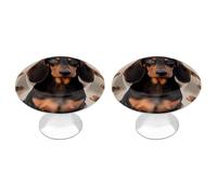 RLDOBOFE 2 Pack Round Dachshund Dog Cabinet Knobs with Screws Stainless Steel Kitchen Cupboard Handles Decorative Dresser Drawer Knob Door Pulls Hardware for Home Bathroom