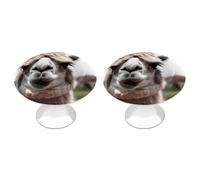 RLDOBOFE 2 Pack Round Funny Alpaca Llama Cabinet Knobs with Screws Stainless Steel Kitchen Cupboard Handles Decorative Dresser Drawer Knob Door Pulls Hardware for Home Bathroom