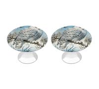 RLDOBOFE 2 Pack Round Snowy Owl Cornus Cabinet Knobs with Screws Stainless Steel Kitchen Cupboard Handles Decorative Dresser Drawer Knob Door Pulls Hardware for Home Bathroom