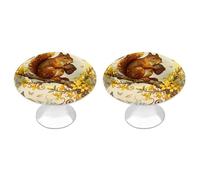 RLDOBOFE 2 Pack Round Squirrel Forsythia Branch Cabinet Knobs with Screws Stainless Steel Kitchen Cupboard Handles Decorative Dresser Drawer Knob Door Pulls Hardware for Home Bathroom