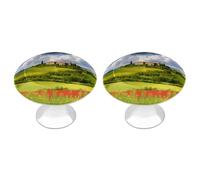 RLDOBOFE 2 Pack Round Tuscany Spring Cabinet Knobs with Screws Stainless Steel Kitchen Cupboard Handles Decorative Dresser Drawer Knob Door Pulls Hardware for Home Bathroom