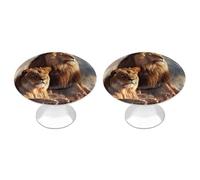 RLDOBOFE 2 Pack Two Lions Cabinet Knob Stainless Steel Drawer Pull with Screws Round Cabinet Handle 1.1 Inch Hardware Decorative Knobs for Kitchen Furniture Cupboard