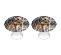 RLDOBOFE 2 Pack Wolf Cabinet Knob Stainless Steel Drawer Pull with Screws Round Cabinet Handle 1.1 Inch Hardware Decorative Knobs for Kitchen Furniture Cupboard