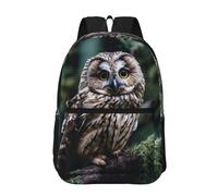 RLDOBOFE Backpack 17 In Travel Backpack for Men Women Casual Daypack Beautiful Owl Laptop Backpack Lightweight Double Shoulder Bag