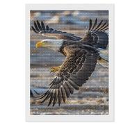RLDOBOFE Bald Eagle Flying Diamond Painting Kit for Adults Round 5d Diamond Art Kits for Beginners DIY Full Drill Diamonds Dots Painting Gem Arts Crafts Home Wall Decor Gift 12"x16"