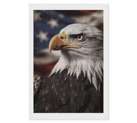 RLDOBOFE Bald Eagle US Flag Diamond Painting Kit for Adults Square 5D Diamond Art Kits for Beginners DIY Full Drill Diamonds Dots Painting Gem Arts Crafts Home Wall Decor Gift 8"x12"