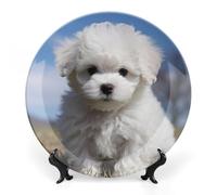 RLDOBOFE Bichon Frise Dog Decorative Plate Ceramic Display Plate with Stand Salad Plates Colorful Porcelain Dinner Dishes Dessert Appetizer Dishes for Kitchen Party Table Decor 10inch