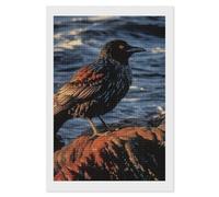 RLDOBOFE Bird by Stone Diamond Painting Kit for Adults Square 5D Diamond Art Kits for Beginners DIY Full Drill Diamonds Dots Painting Gem Arts Crafts Home Wall Decor Gift 8"x12"