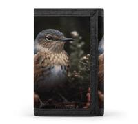 RLDOBOFE Bird on Branch Trifold Wallet Minimalist Mens Wallet with Key Hook 8 Card Slots Modern Stylish Polyester Security Wallets Fashion Slim Credit Card Holder Id Window