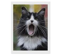 RLDOBOFE Black and White Cat Diamond Painting Kit for Adults Round 5d Diamond Art Kits for Beginners DIY Full Drill Diamonds Dots Painting Gem Arts Crafts Home Wall Decor Gift 12"x16"