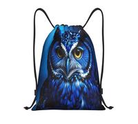 RLDOBOFE Blue Owl Drawstring Sports Backpack, Black / White, M