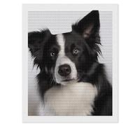 RLDOBOFE Border Collie Diamond Painting Kit for Adults Round 5d Diamond Art Kits for Beginners DIY Full Drill Diamonds Dots Painting Gem Arts Crafts Home Wall Decor Gift 16"x20"