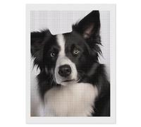 RLDOBOFE Border Collie Diamond Painting Kit for Adults Square 5D Diamond Art Kits for Beginners DIY Full Drill Diamonds Dots Painting Gem Arts Crafts Home Wall Decor Gift 12"x16"