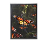 RLDOBOFE Canvas Wall Art Paintings Monarch Butterflies Pictures Artwork Framed Photo Prints Modern Wall Decoration Poster Framed Ready to Hang for Kitchen Bathroom Office Home Decor 45x30 CM