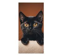 RLDOBOFE Cute Peeping Black Cat Beach Towels for Women, Soft Absorbent Pool Towel for Men, Quick Dry Bath Towels for Travel, Lightweight Swim Towel for Shower, Camping, 30.3"x61.4"