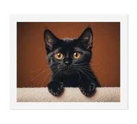 RLDOBOFE Cute Peeping Black Cat Paint by Numbers Kit for Adults Beginners, Personalized Paint 50x65cm for DIY Crafts, Cute Painting for Office Wall Decor Gift, Home Activity, Anniversary