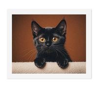 RLDOBOFE Cute Peeping Black Cat Paint by Numbers Kit for Adults Beginners, Personalized Paint 60x75cm for DIY Crafts, Cute Painting for Office Wall Decor Gift, Home Activity, Anniversary
