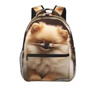 RLDOBOFE Cute Pomeranian Dog Cute Backpack Waterproof Lightweight Casual Backpack One Size Daypack Travel Laptop Bag For Men Women
