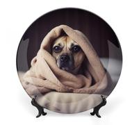 RLDOBOFE Dog in A Blanket Decorative Plate Ceramic Display Plate with Stand Salad Plates Colorful Porcelain Dinner Dishes Dessert Appetizer Dishes for Kitchen Party Table Decor 10inch
