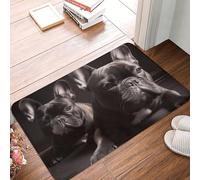 RLDOBOFE Doormat French Bulldog Front Door Mat Non-Slip Welcome Mats Washable Floor Mat Indoor Outdoor Entrance Mat Absorbent Guard Doormat for Kitchen Bedroom Bathroom Home Decor 16 x 24 Inch