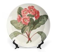 RLDOBOFE Elegant Red Flower Decorative Plate Ceramic Display Plate with Stand Salad Plates Colorful Porcelain Dinner Dishes Dessert Appetizer Dishes for Kitchen Party Table Decor 10inch