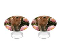 RLDOBOFE Golden Retriever & Daisy Cabinet Knobs 2 Pack Round Drawer Pulls Dresser Knob Cupboard Door Handles Hardware for Kitchen Bathroom Cabinets