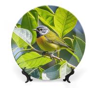 RLDOBOFE Green Leaves And Birds Decorative Plate Ceramic Display Plate with Stand Salad Plates Colorful Porcelain Dinner Dishes Dessert Appetizer Dishes for Kitchen Party Table Decor 10inch