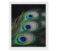 RLDOBOFE Green Peacock Feather Diamond Painting Kit for Adults Round 5d Diamond Art Kits for Beginners DIY Full Drill Diamonds Dots Painting Gem Arts Crafts Home Wall Decor Gift 16"x20"