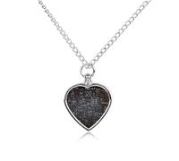 RLDOBOFE Mathematics And Physics Pet Cremation Necklaces for Ashes Personalized Pet Ashes Jewelry Heart Shaped Urn Pendant Custom Memorial Funeral Keepsake for Loss Dogs Cats