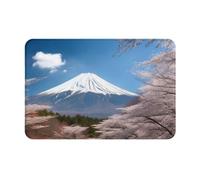 RLDOBOFE Mt. Fuji in Early Spring Print Area Rug Non-Slip Front Door Mat Absorbent Bath Rug Flannel Bathroom Rugs for Outdoor Indoor Welcome Mat 24 x 16 in