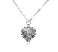 RLDOBOFE Nightjar Dusty Miller Cremation Jewelry for Ashes Heart Urn Necklaces Personalized Memorial Necklace Dog Cat Keepsake Pendant Custom Small Locket Ash Holder for Women Men