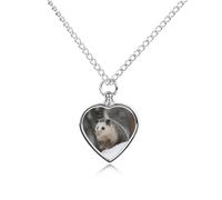 RLDOBOFE Opossum In Snow Pet Cremation Necklaces for Ashes Personalized Pet Ashes Jewelry Heart Shaped Urn Pendant Custom Memorial Funeral Keepsake for Loss Dogs Cats