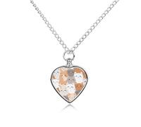 RLDOBOFE Orange Cats Cremation Jewelry for Ashes Heart Urn Necklaces Personalized Memorial Necklace Dog Cat Keepsake Pendant Custom Small Locket Ash Holder for Women Men
